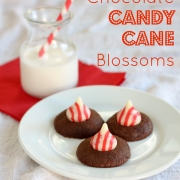 Chocolate Candy Cane Blossoms