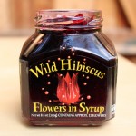 Week 52: Hibiscus Flowers