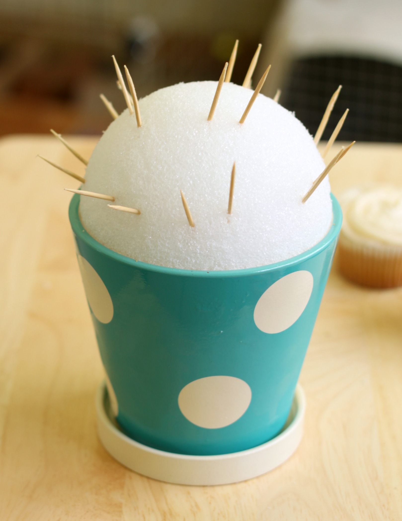 Put toothpicks in styrofoam ball