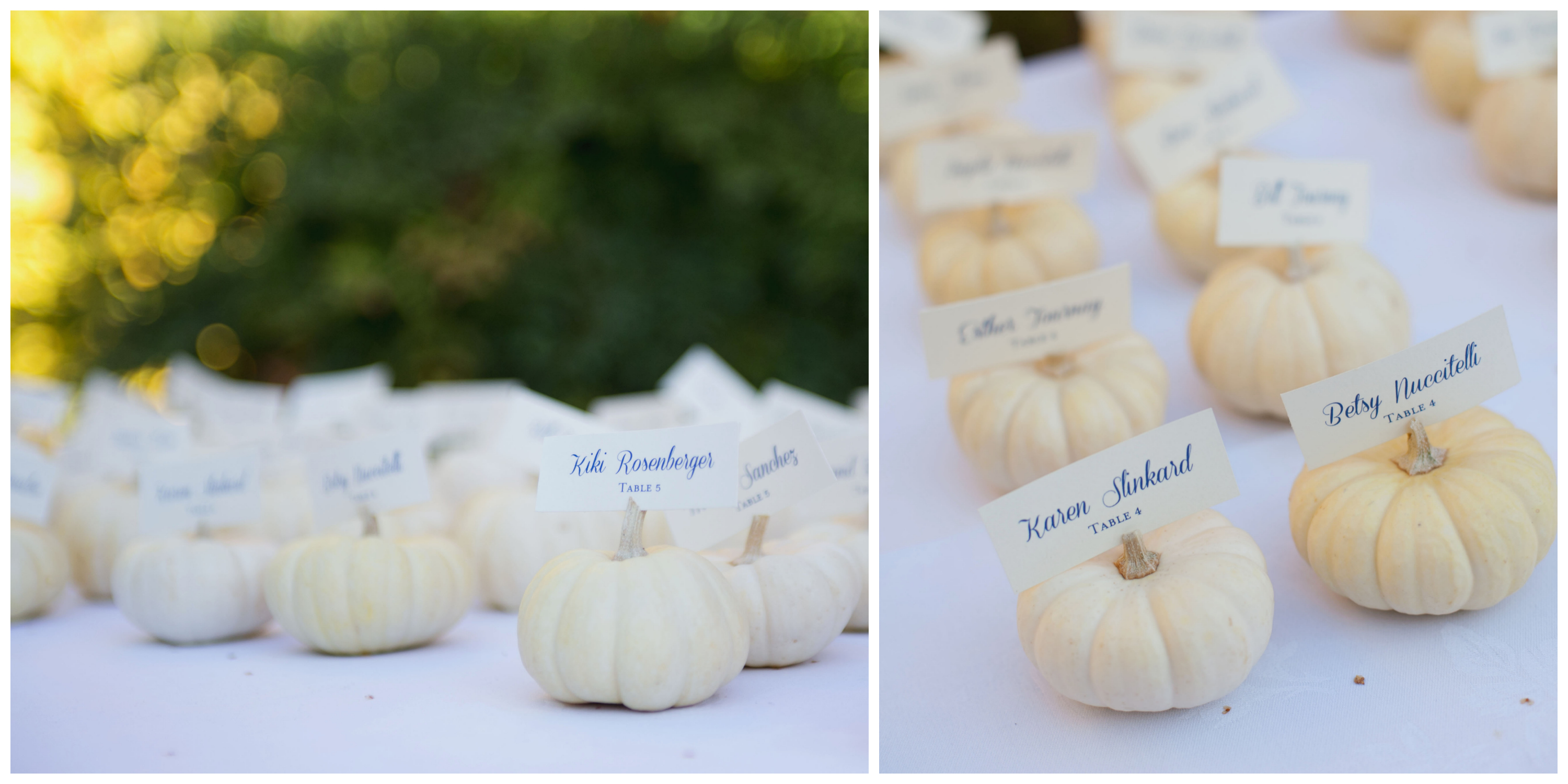 White pumpkin placecards