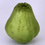 Week 16: Chayote