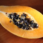 Week 26: Papaya Seeds