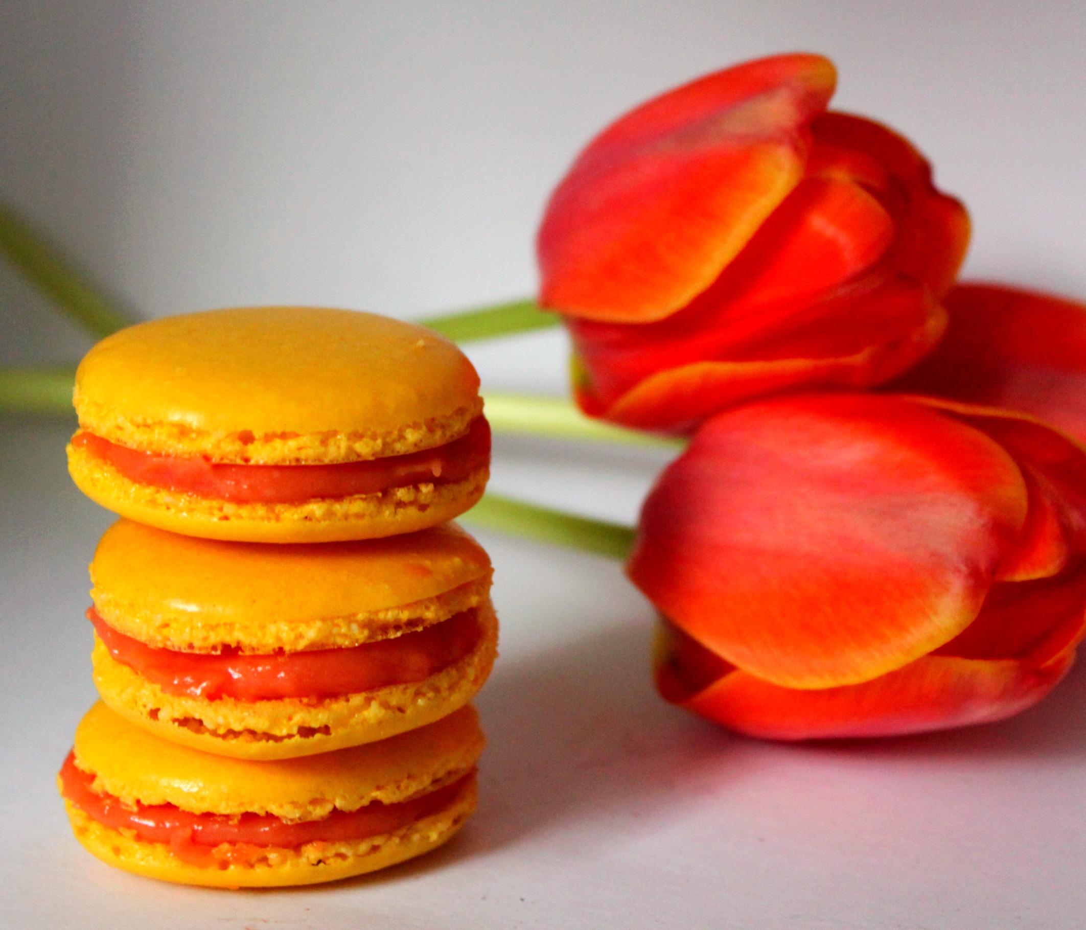 Prickly pear Macarons