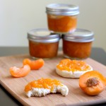 How to Can Apricot Jam