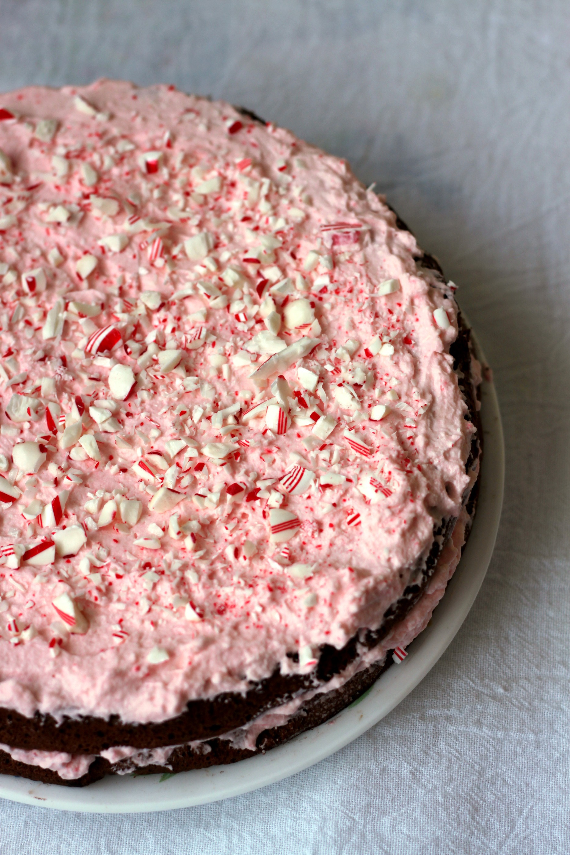 Flourless Chocolate Peppermint Cake