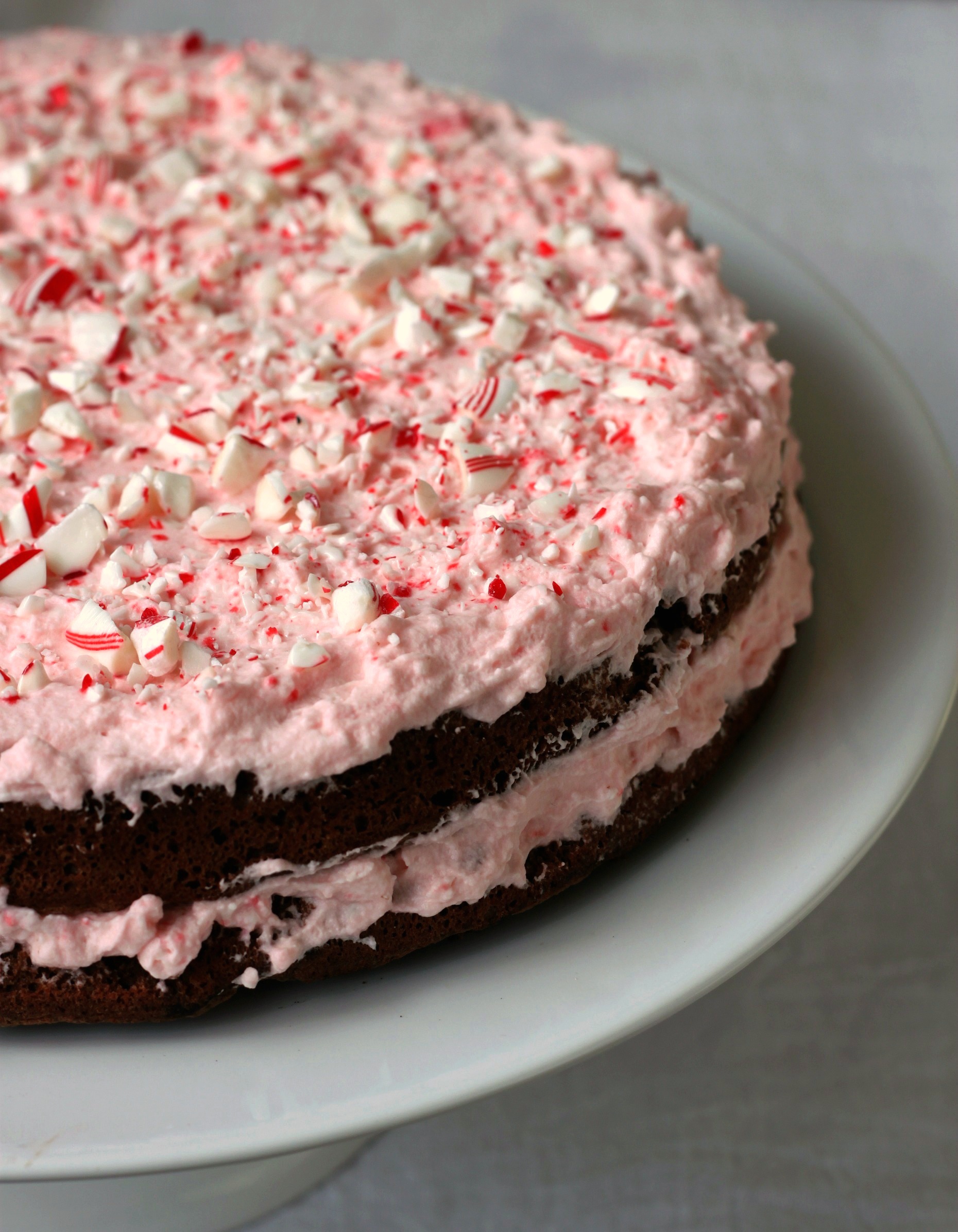 Flourless Chocolate Peppermint cake 7 4
