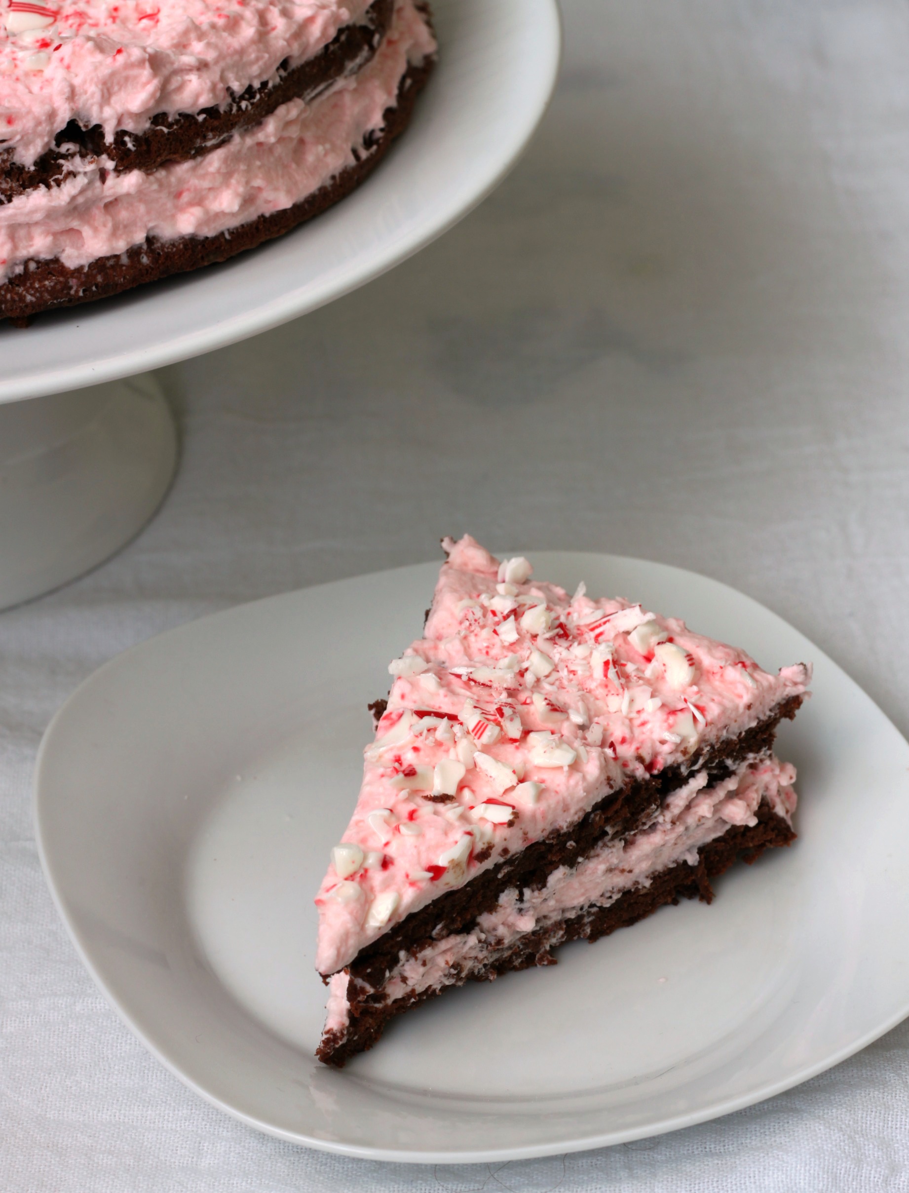 Slice of Flourless Chocolate Peppermint cake 3