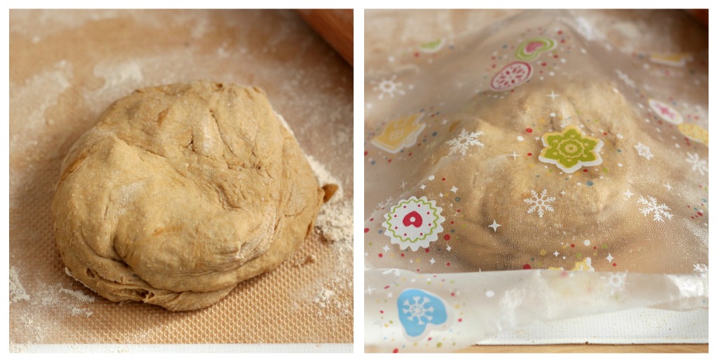 Pizza dough rising collage