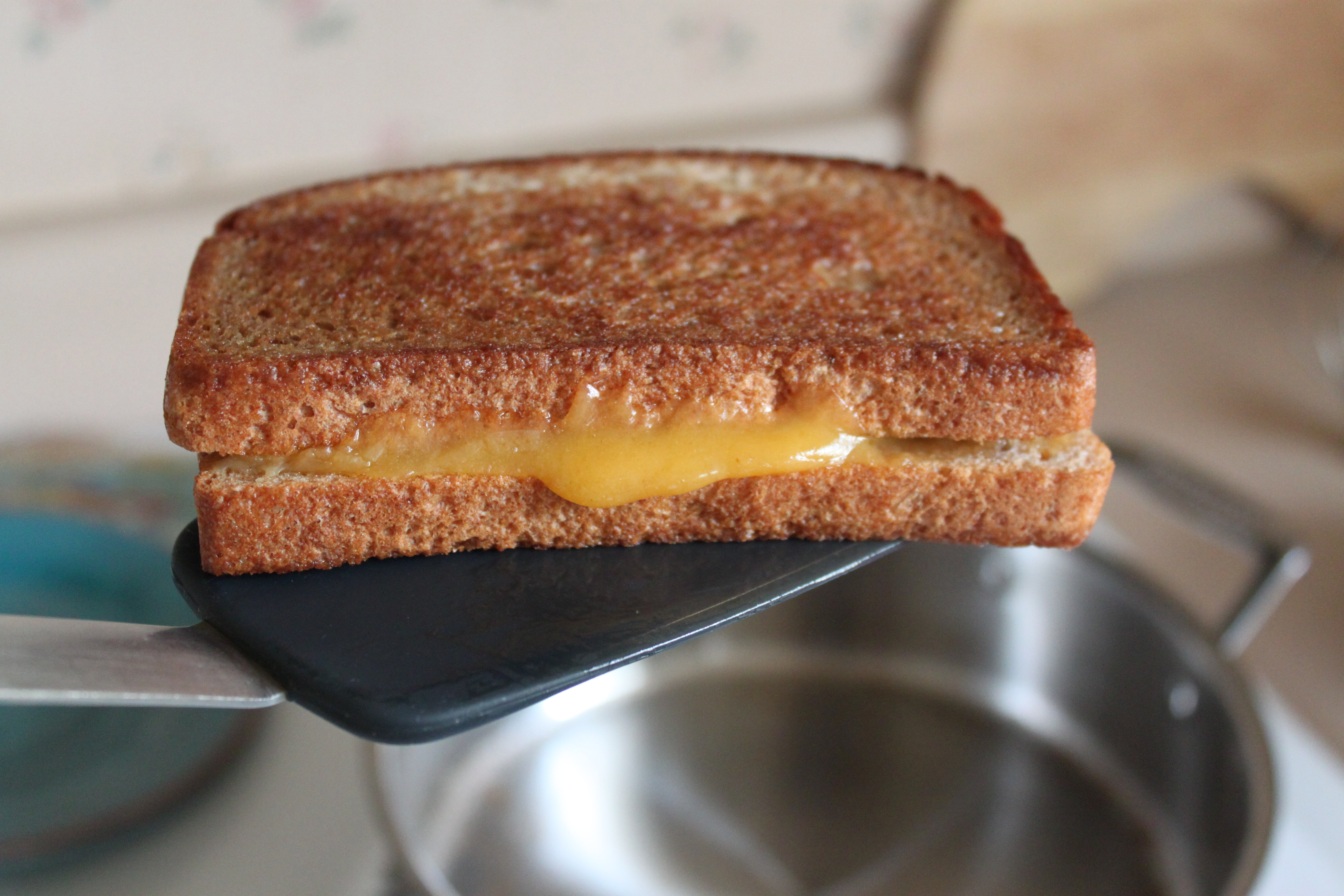 Cook until bread is toasted and cheese is melted