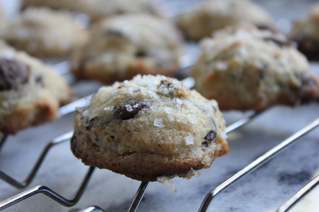 Gluten free chocolate chip cookie