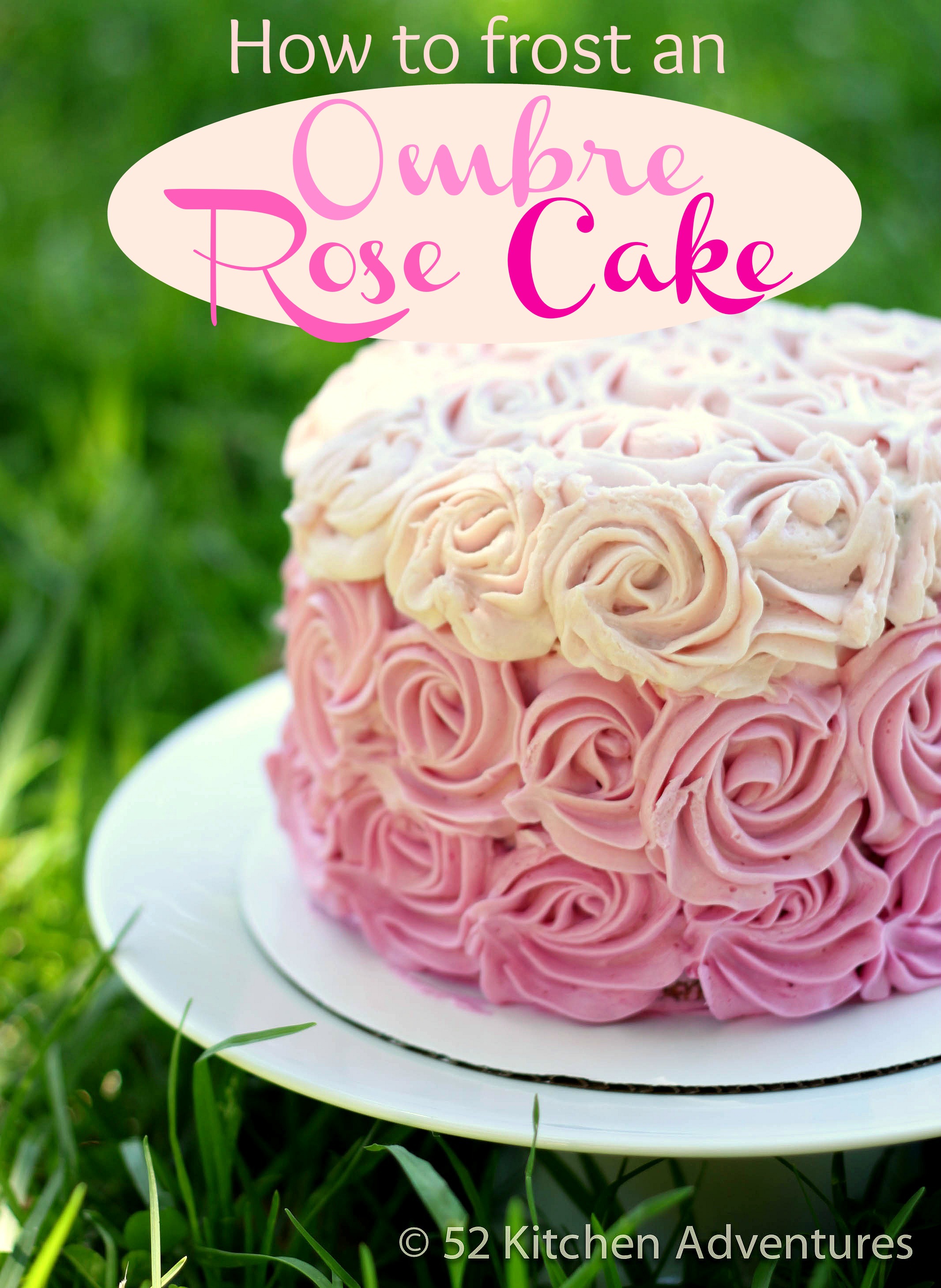 How to frost an ombre rose cake