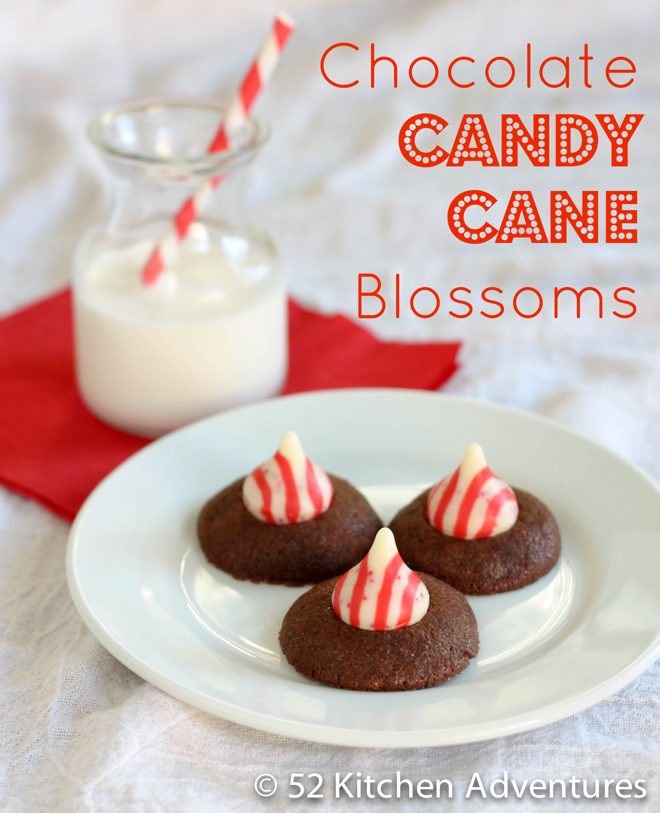 Chocolate Candy Cane Blossoms