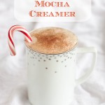 DIY Peppermint Mocha Creamer