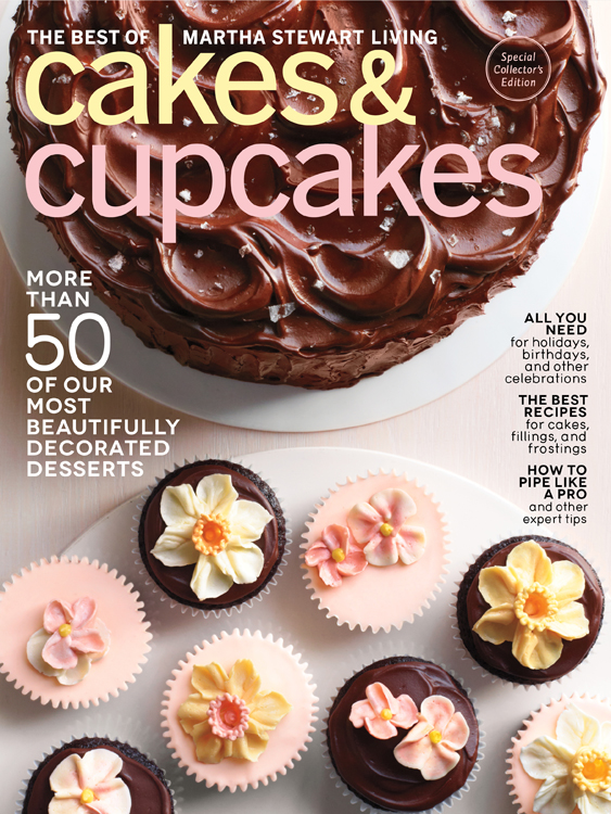 cakes and cupcakes cover