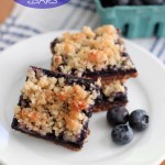 Paleo Blueberry Bars