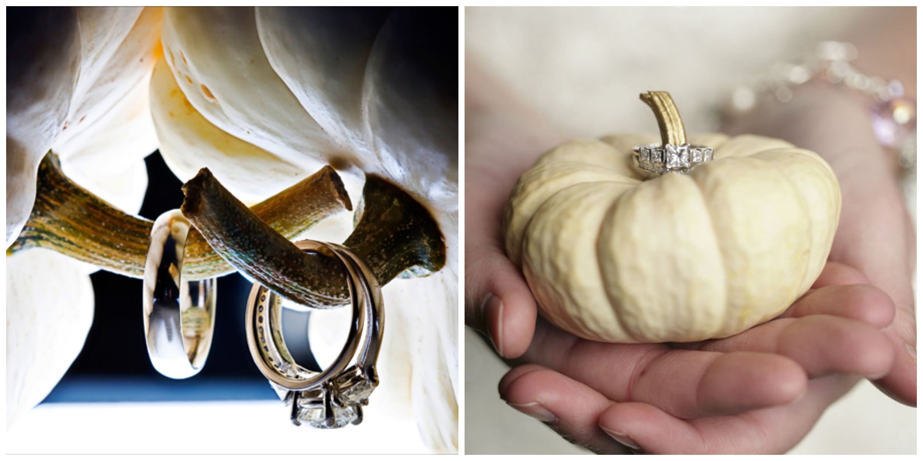 White pumpkin wedding ring prop