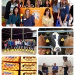 My Visit to Tillamook Cheese Factory